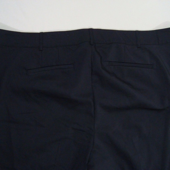 Lane Bryant Modernist Collection Capri Pants - Picture 4 of 6